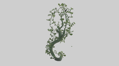 Flowing Plant Form Sculpture model 3D model
