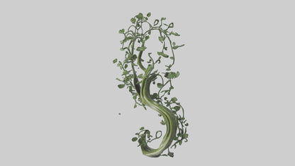 Flowing Plant Form Sculpture model 3D model