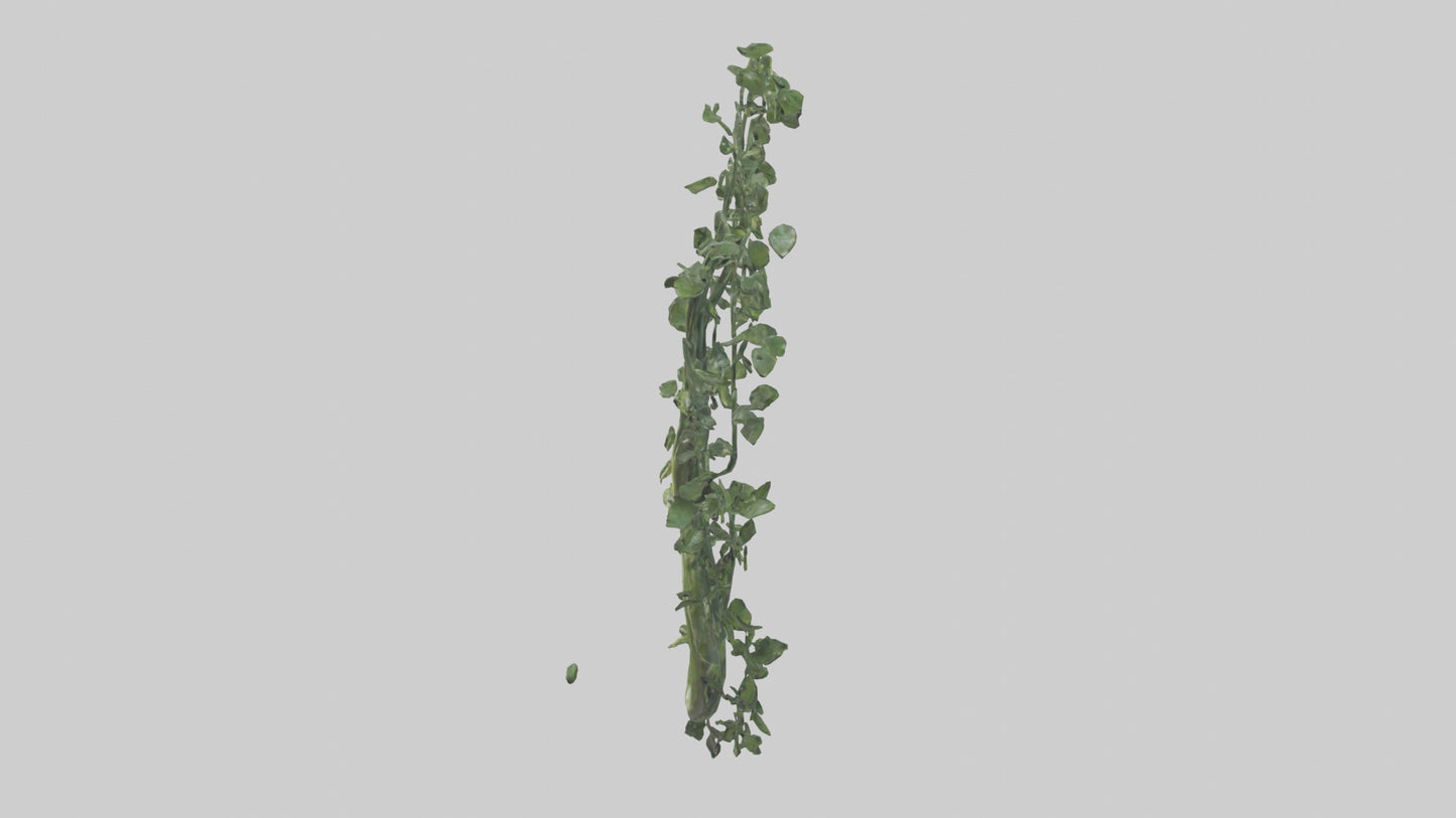 Flowing Plant Form Sculpture model 3D model