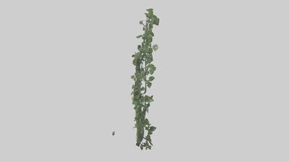 Flowing Plant Form Sculpture model 3D model