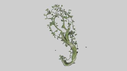 Flowing Plant Form Sculpture model 3D model
