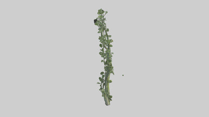 Flowing Plant Form Sculpture model 3D model