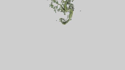 Flowing Plant Form Sculpture model 3D model