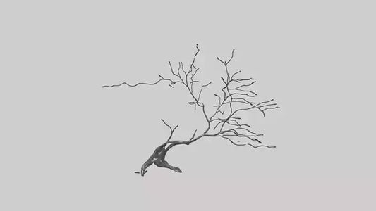 Fluid Branch Sculpture model 2 3D model