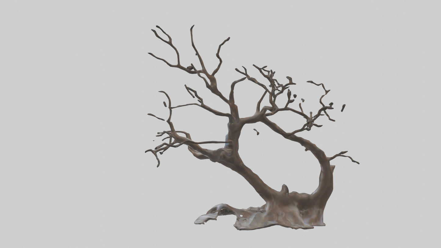 Fluid Branch Sculpture model 2 3D model