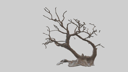 Fluid Branch Sculpture model 2 3D model