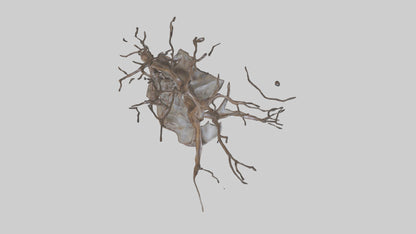 Fluid Branch Sculpture model 2 3D model