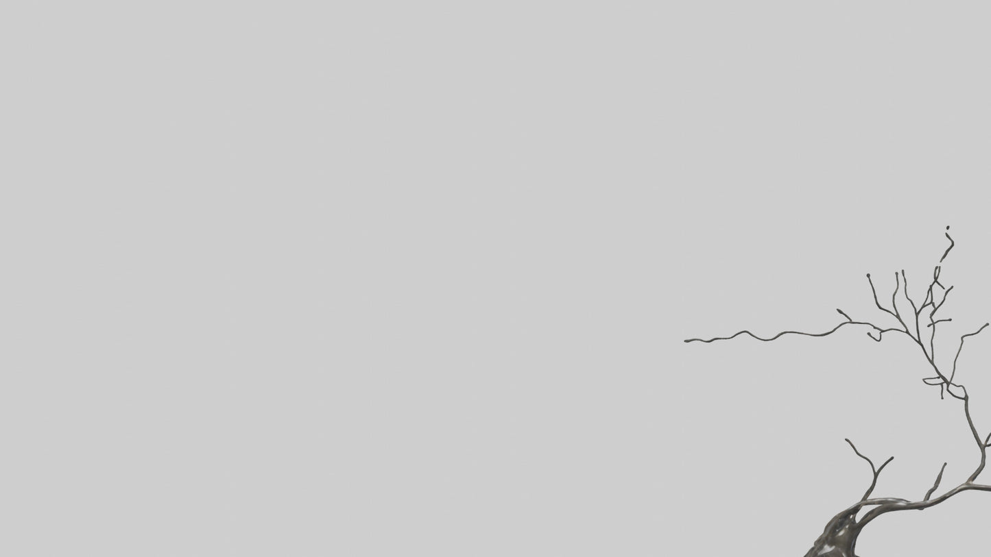 Fluid Branch Sculpture model 2 3D model