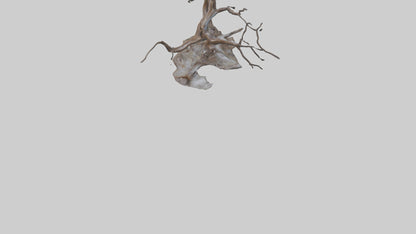 Fluid Branch Sculpture model 2 3D model