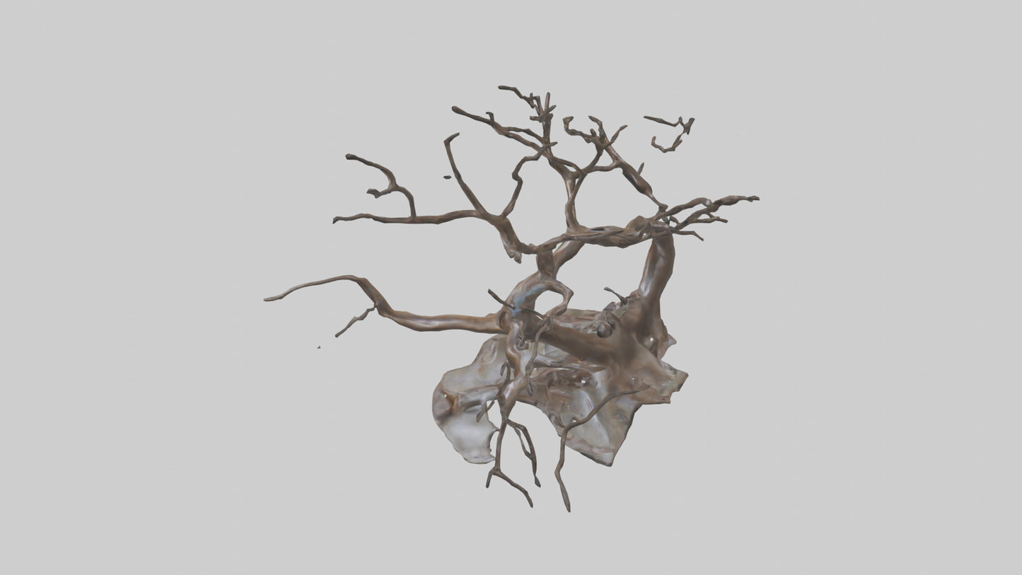 Fluid Branch Sculpture model 2 3D model