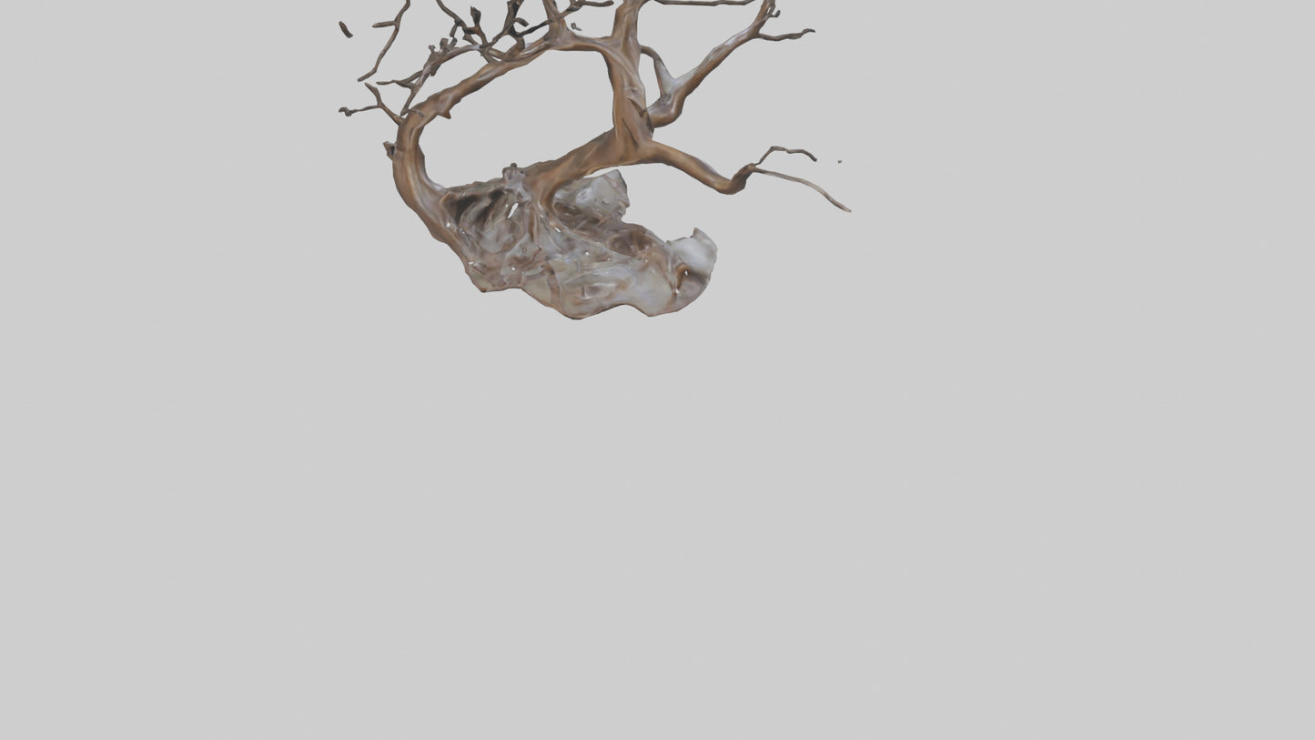 Fluid Branch Sculpture model 2 3D model