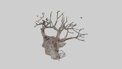 Fluid Branch Sculpture model 2 3D model