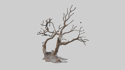 Fluid Branch Sculpture model 2 3D model