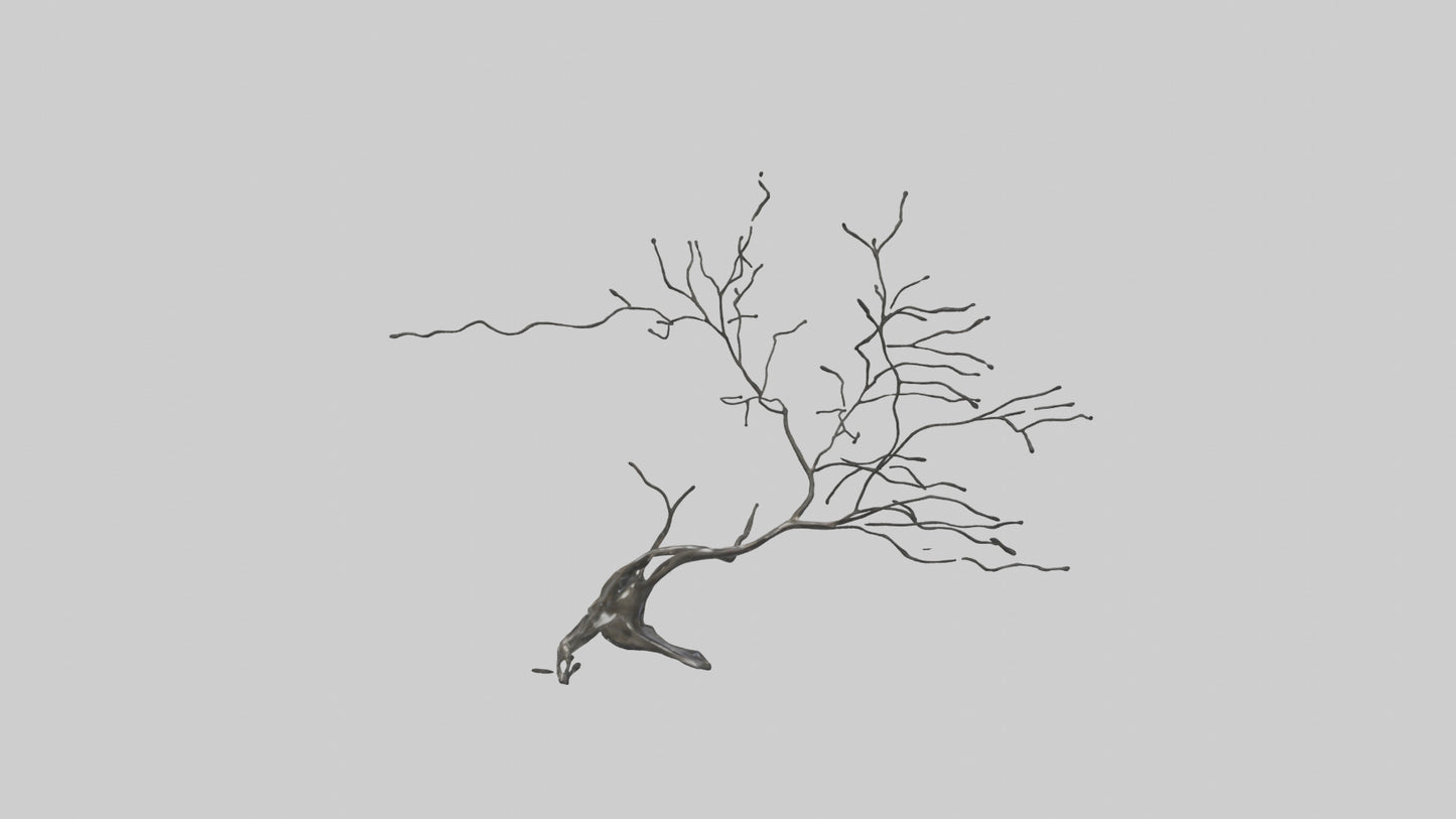 Fluid Branch Sculpture model 2 3D model