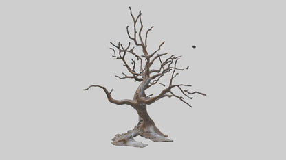 Fluid Branch Sculpture model 2 3D model