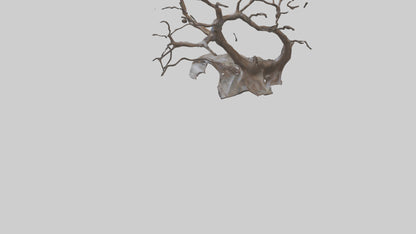 Fluid Branch Sculpture model 2 3D model