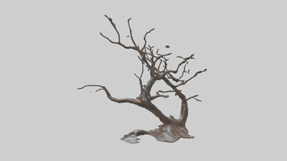 Fluid Branch Sculpture model 2 3D model