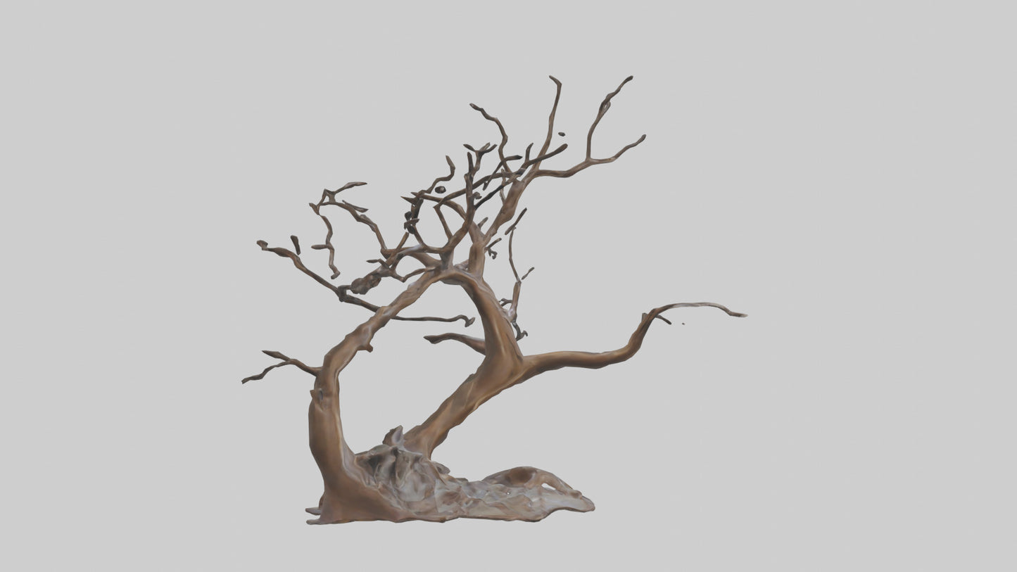 Fluid Branch Sculpture model 2 3D model