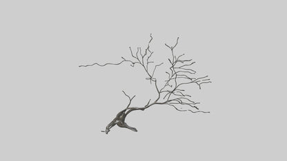 Fluid Branch Sculpture model 2 3D model