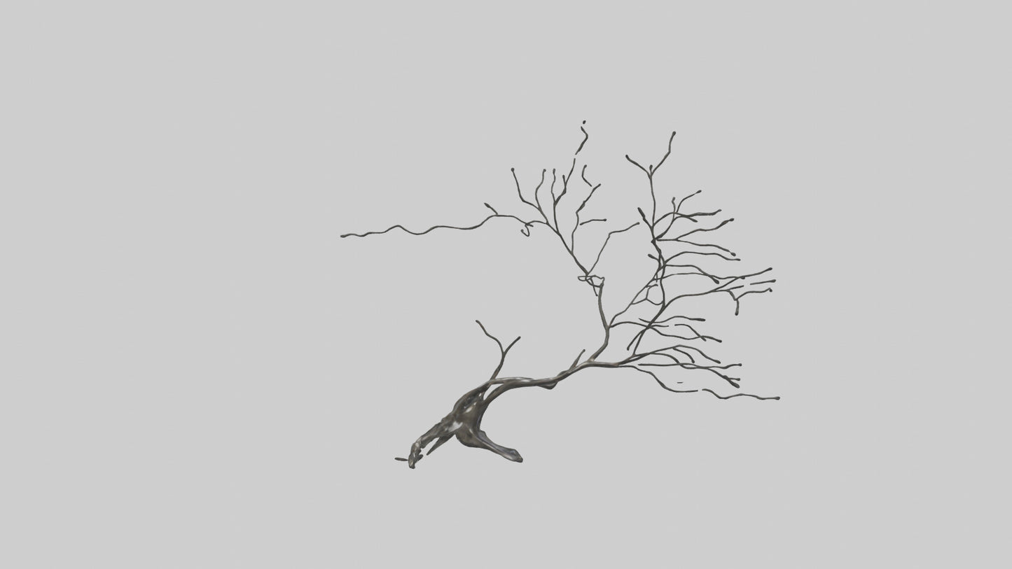 Fluid Branch Sculpture model 2 3D model