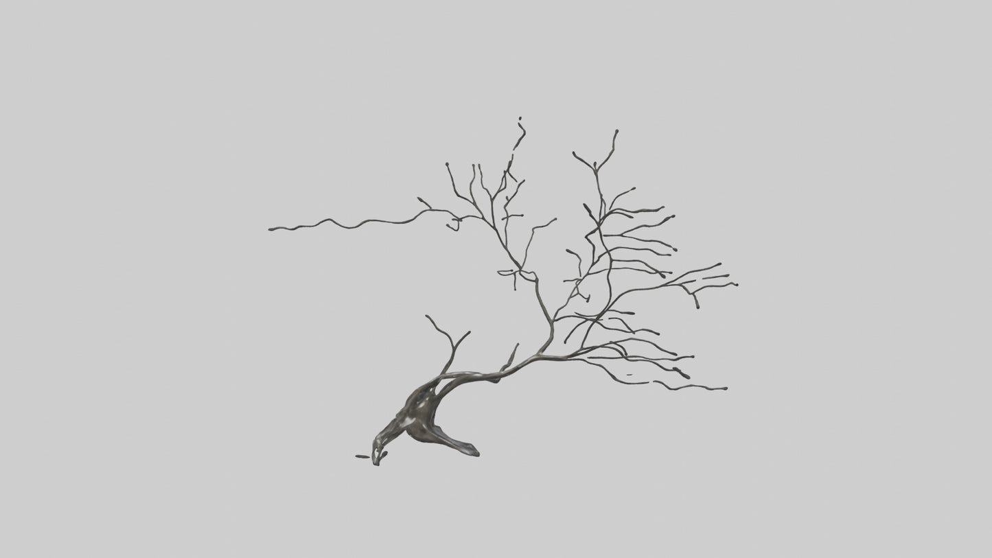Fluid Branch Sculpture model VR / AR / low-poly