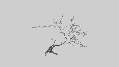 Fluid Branch Sculpture model VR / AR / low-poly