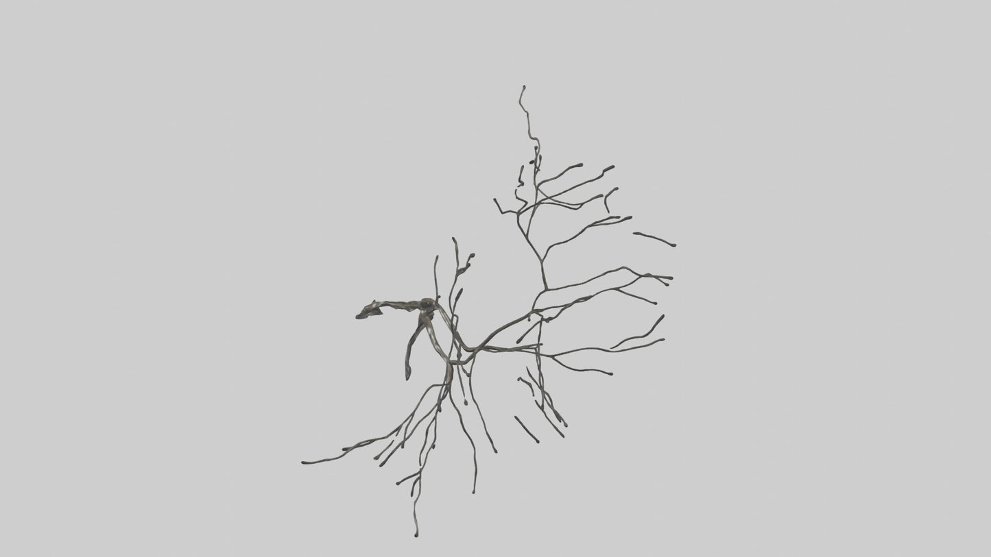 Fluid Branch Sculpture model VR / AR / low-poly