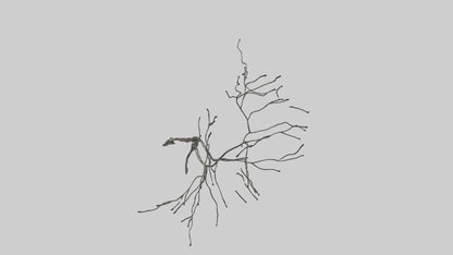 Fluid Branch Sculpture model VR / AR / low-poly