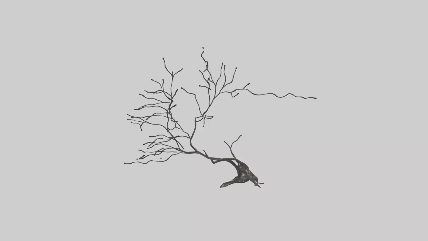 Fluid Branch Sculpture model VR / AR / low-poly