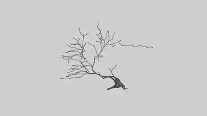 Fluid Branch Sculpture model VR / AR / low-poly