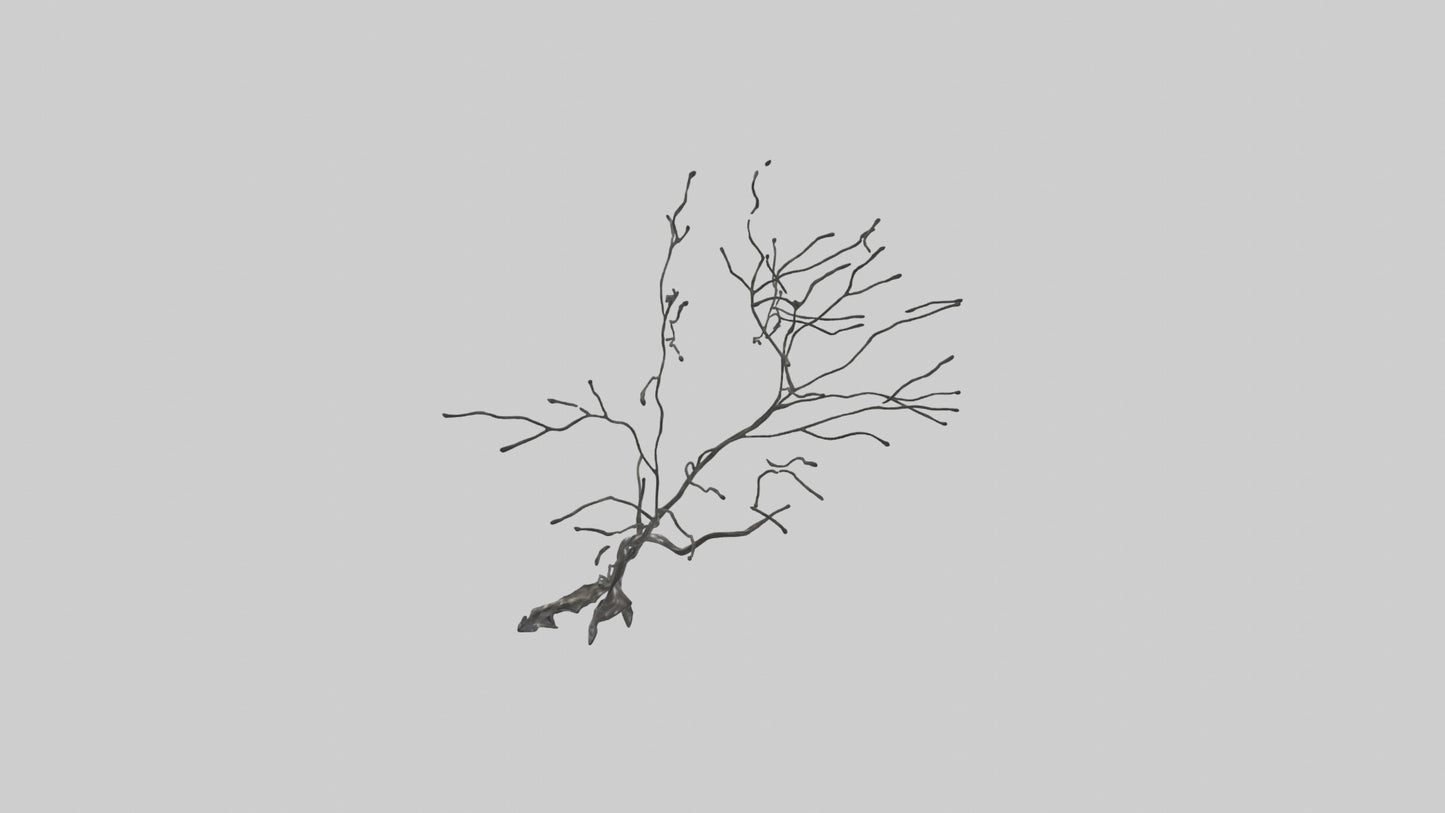 Fluid Branch Sculpture model VR / AR / low-poly