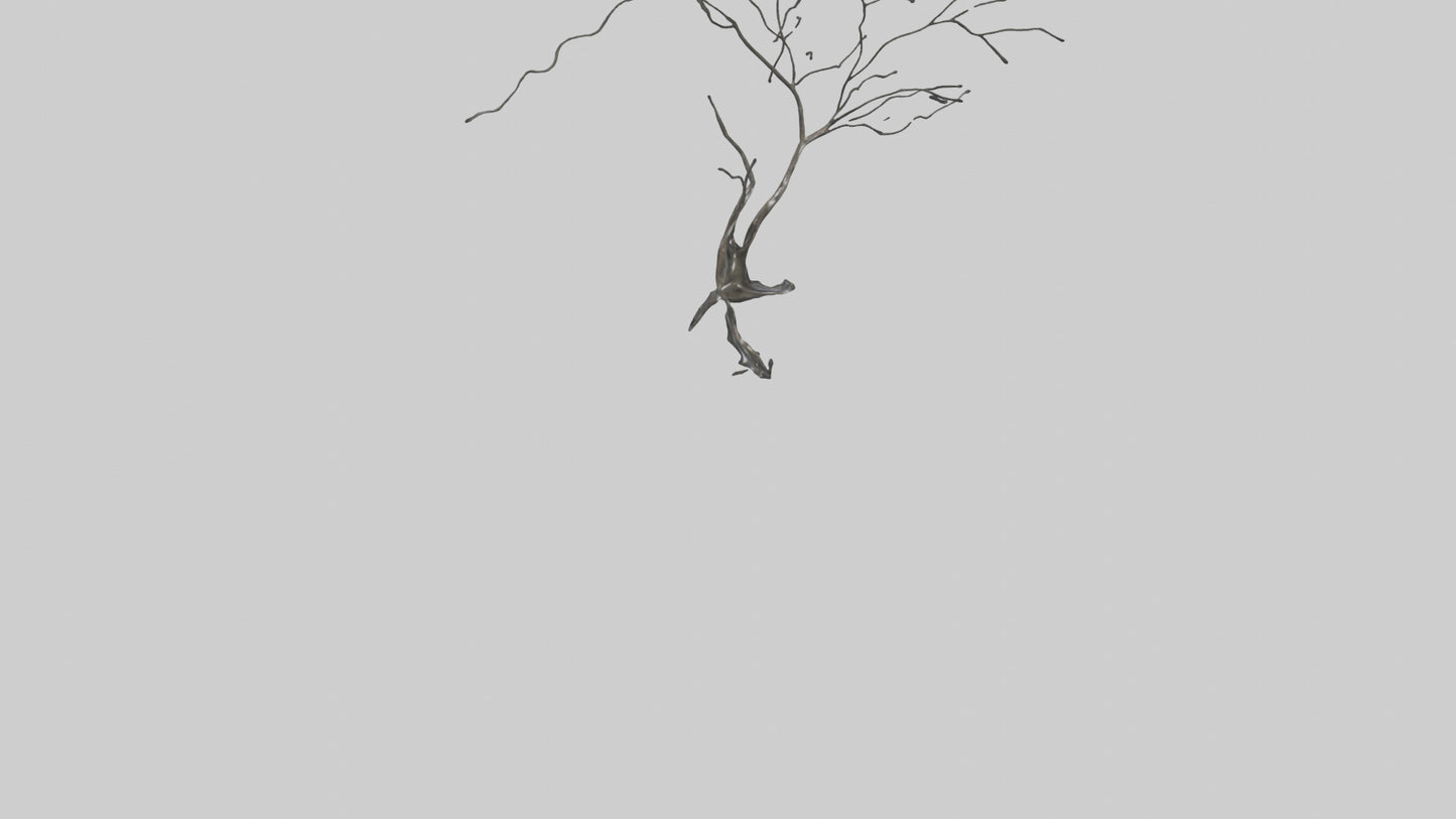 Fluid Branch Sculpture model VR / AR / low-poly