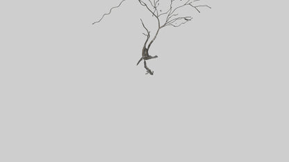 Fluid Branch Sculpture model VR / AR / low-poly