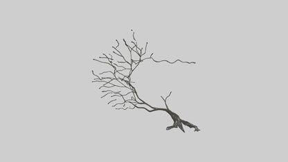 Fluid Branch Sculpture model VR / AR / low-poly