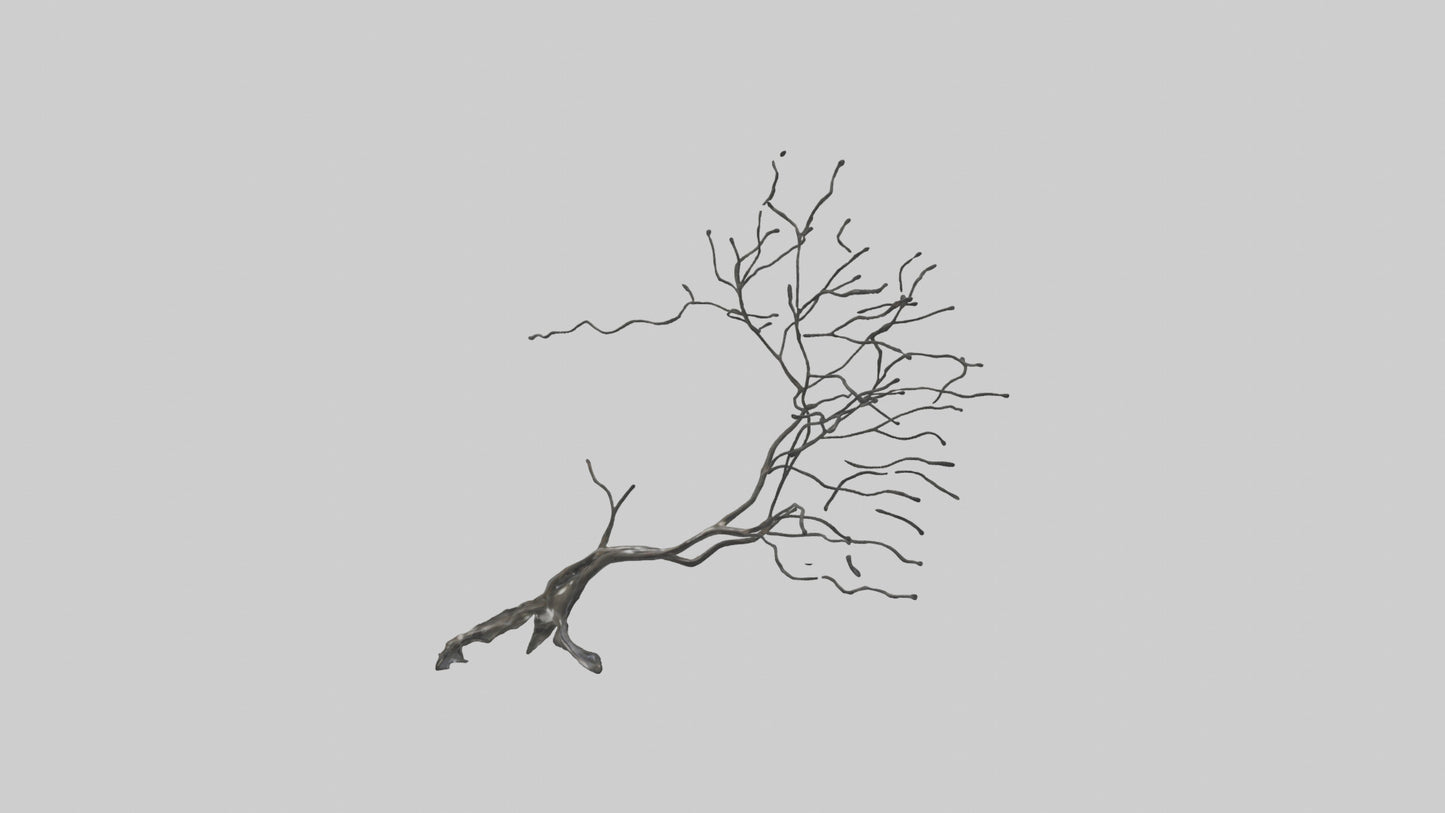 Fluid Branch Sculpture model VR / AR / low-poly