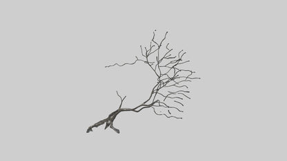 Fluid Branch Sculpture model VR / AR / low-poly