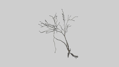 Fluid Branch Sculpture model VR / AR / low-poly