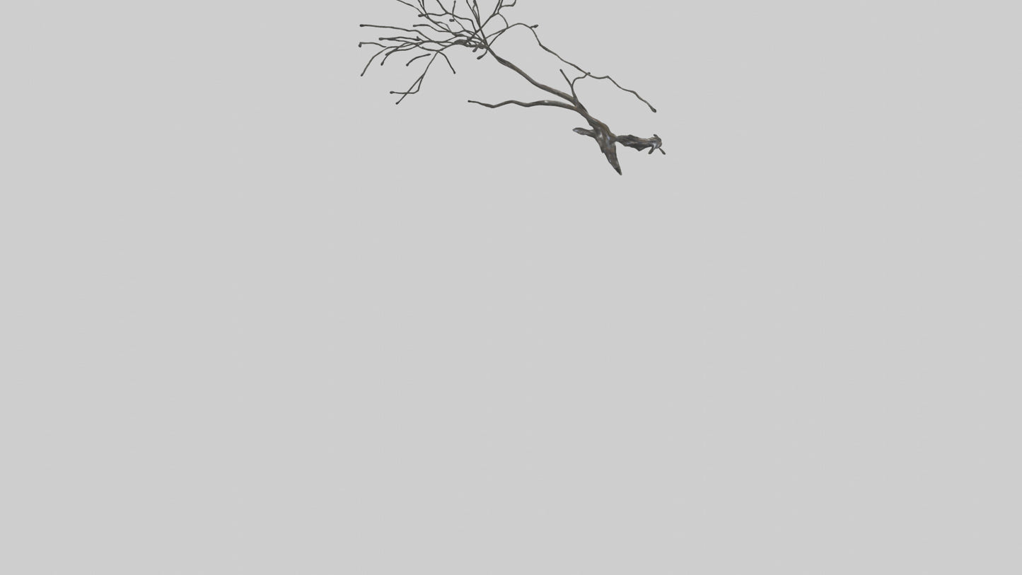Fluid Branch Sculpture model VR / AR / low-poly