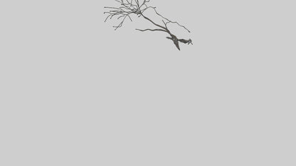 Fluid Branch Sculpture model VR / AR / low-poly
