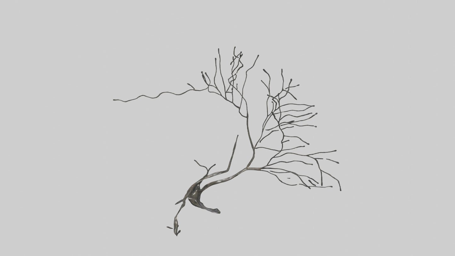 Fluid Branch Sculpture model VR / AR / low-poly