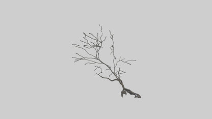 Fluid Branch Sculpture model VR / AR / low-poly