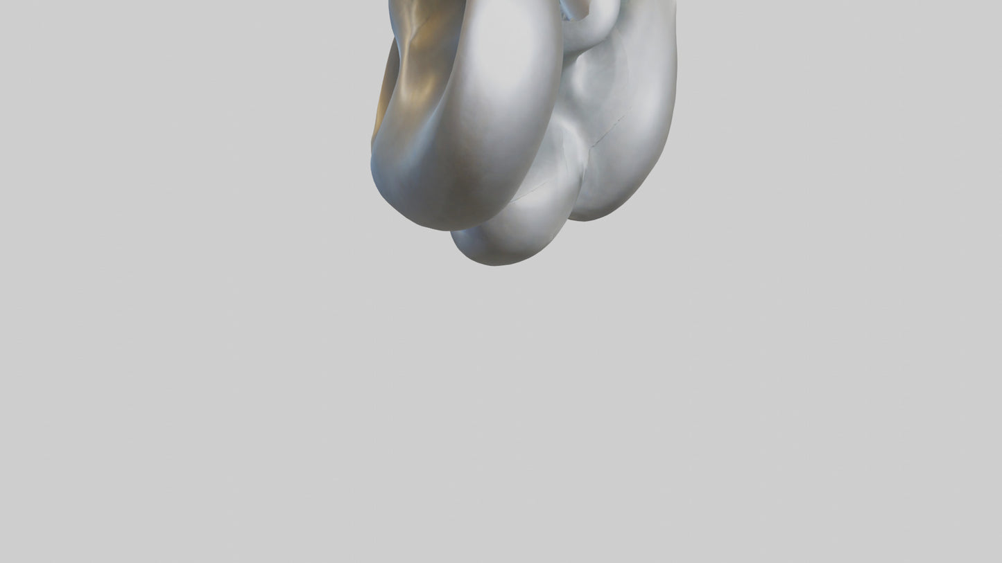 Fluid Organic Shape statue model 3D model