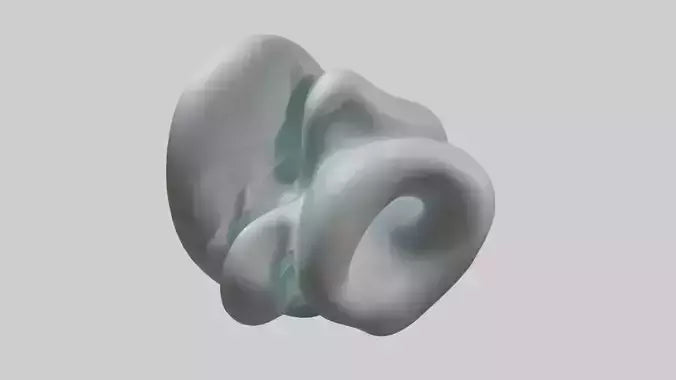 Fluid Organic Shape statue model 3D model