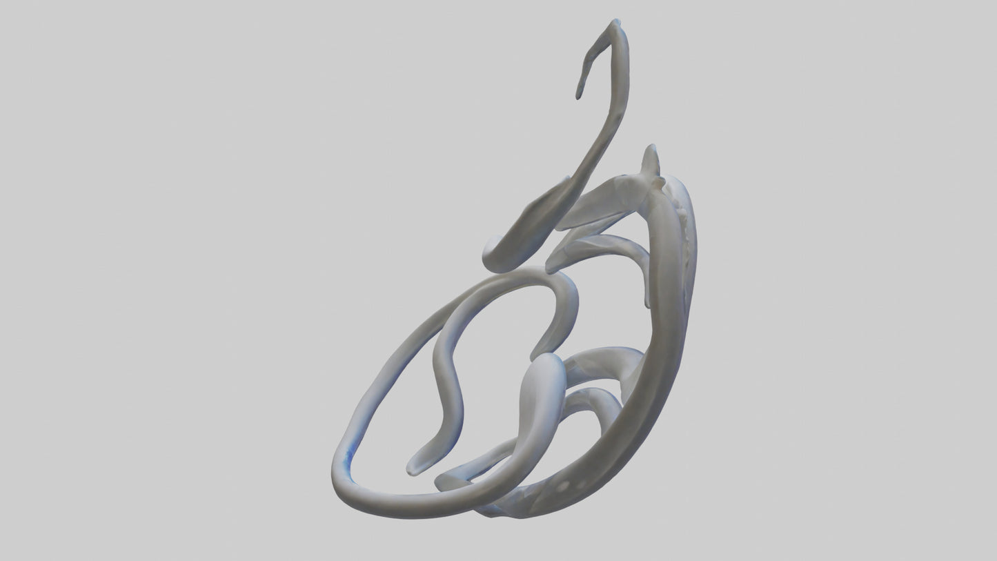 Fluid Stem Sculpture model 3D model