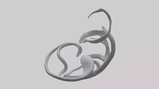 Fluid Stem Sculpture model 3D model