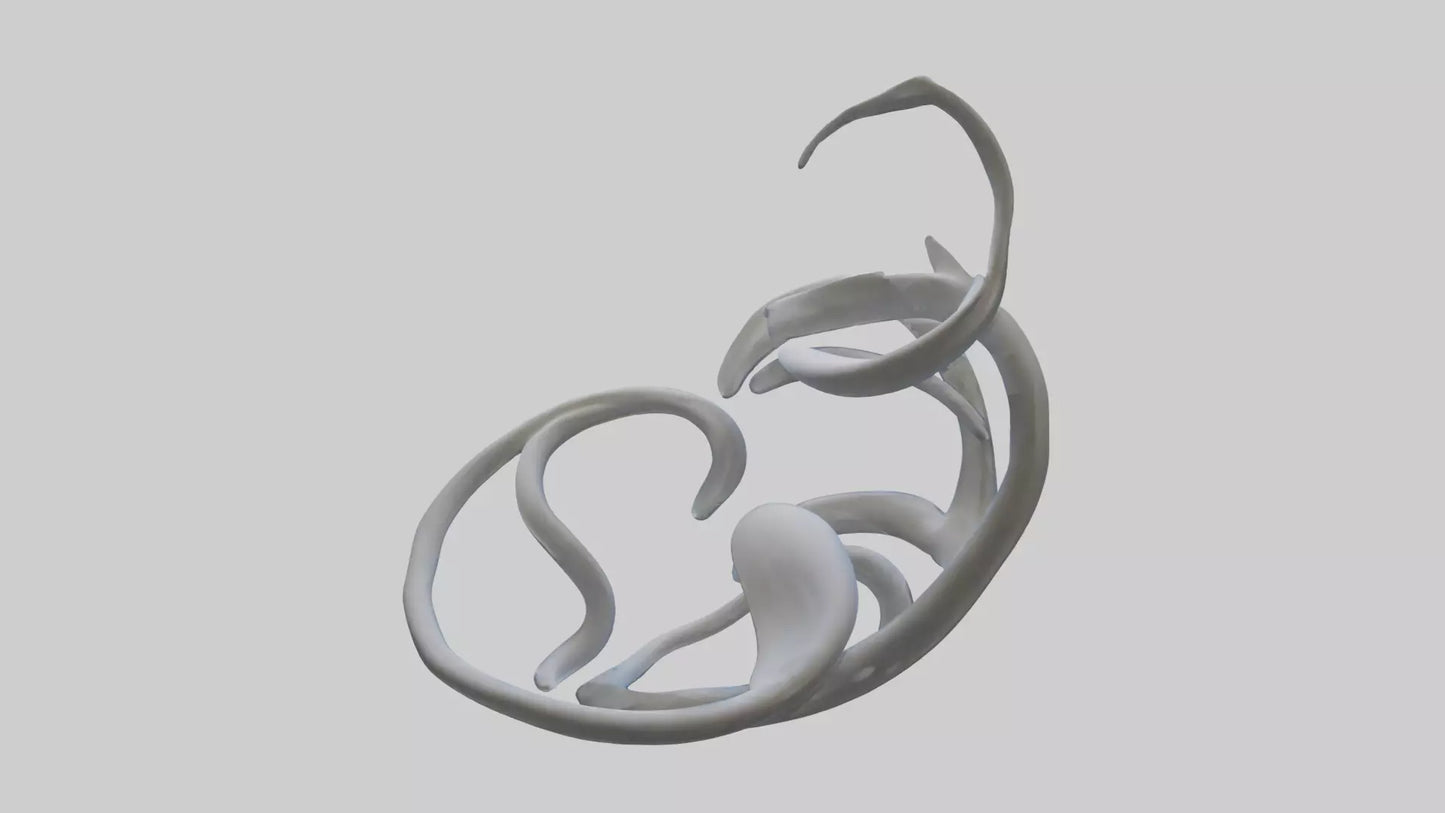 Fluid Stem Sculpture model 3D model