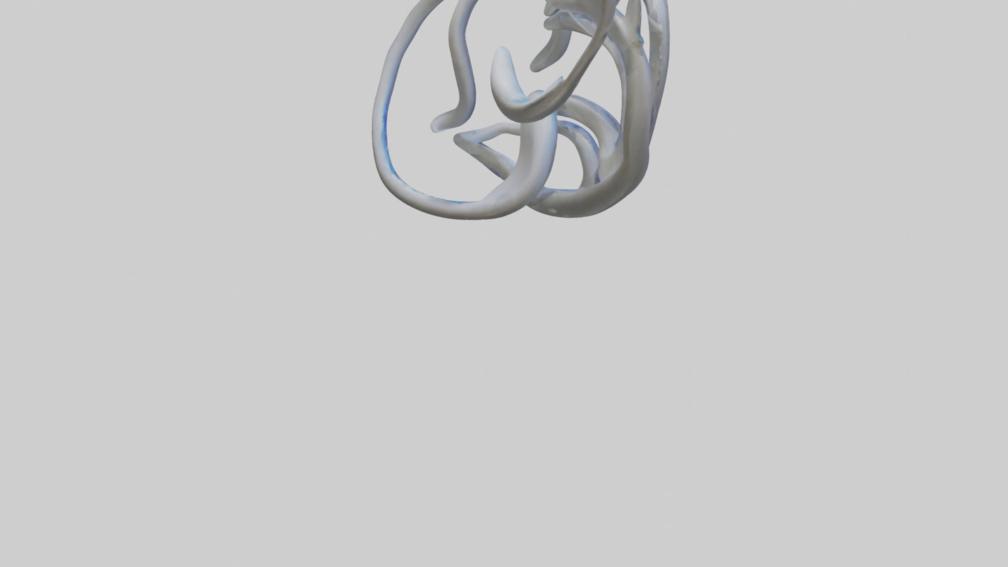 Fluid Stem Sculpture model 3D model