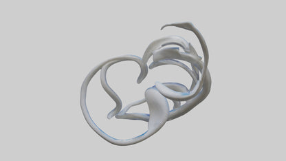 Fluid Stem Sculpture model 3D model
