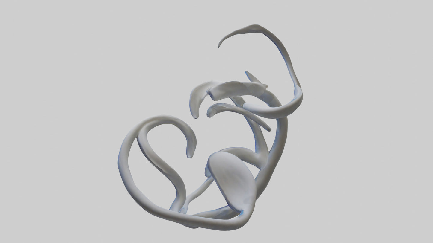 Fluid Stem Sculpture model 3D model