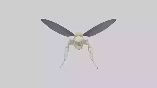 Fly Skeleton model 3D model